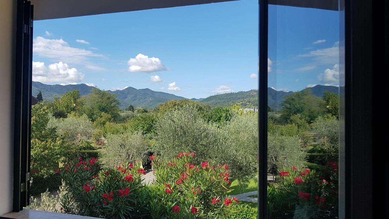 Salvia E Rosmarino - Affittacamere In Liguria Villanova d'Albenga Exterior foto