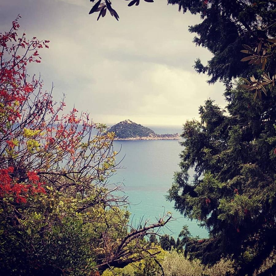 Salvia E Rosmarino - Affittacamere In Liguria Villanova d'Albenga Exterior foto