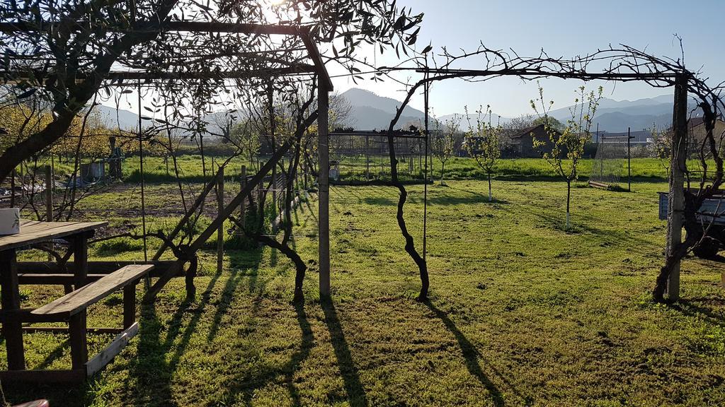 Salvia E Rosmarino - Affittacamere In Liguria Villanova d'Albenga Exterior foto