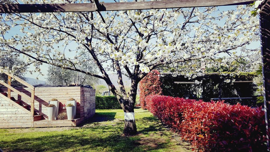 Salvia E Rosmarino - Affittacamere In Liguria Villanova d'Albenga Exterior foto